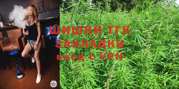 дживик Осташков