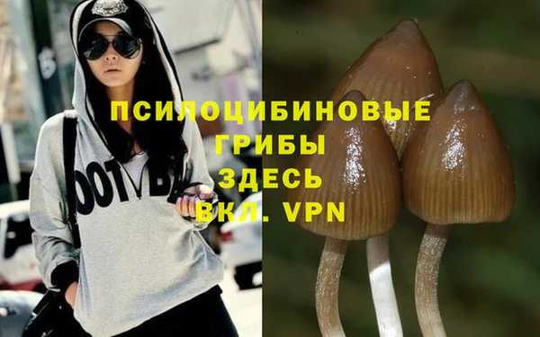 ПСИЛОЦИБИНОВЫЕ ГРИБЫ Пестово