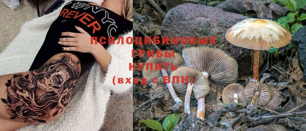 ПСИЛОЦИБИНОВЫЕ ГРИБЫ Пестово