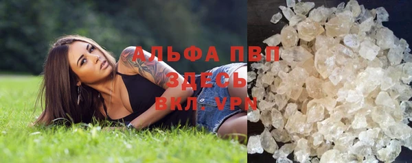 ПСИЛОЦИБИНОВЫЕ ГРИБЫ Пестово